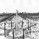 Illustration for article titled An autistic savant spent 20 years designing an entire city on paper